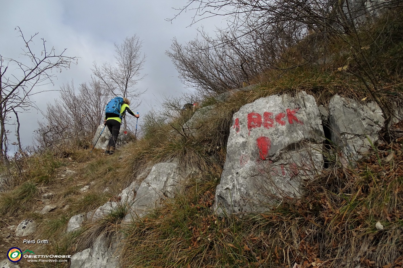 51 Sentiero dei Beck...selvaggio, ma ben tracciato.JPG